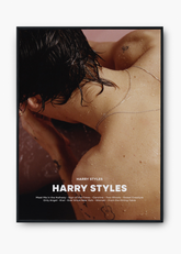 Quadro Harry Styles - Harry Styles Capa