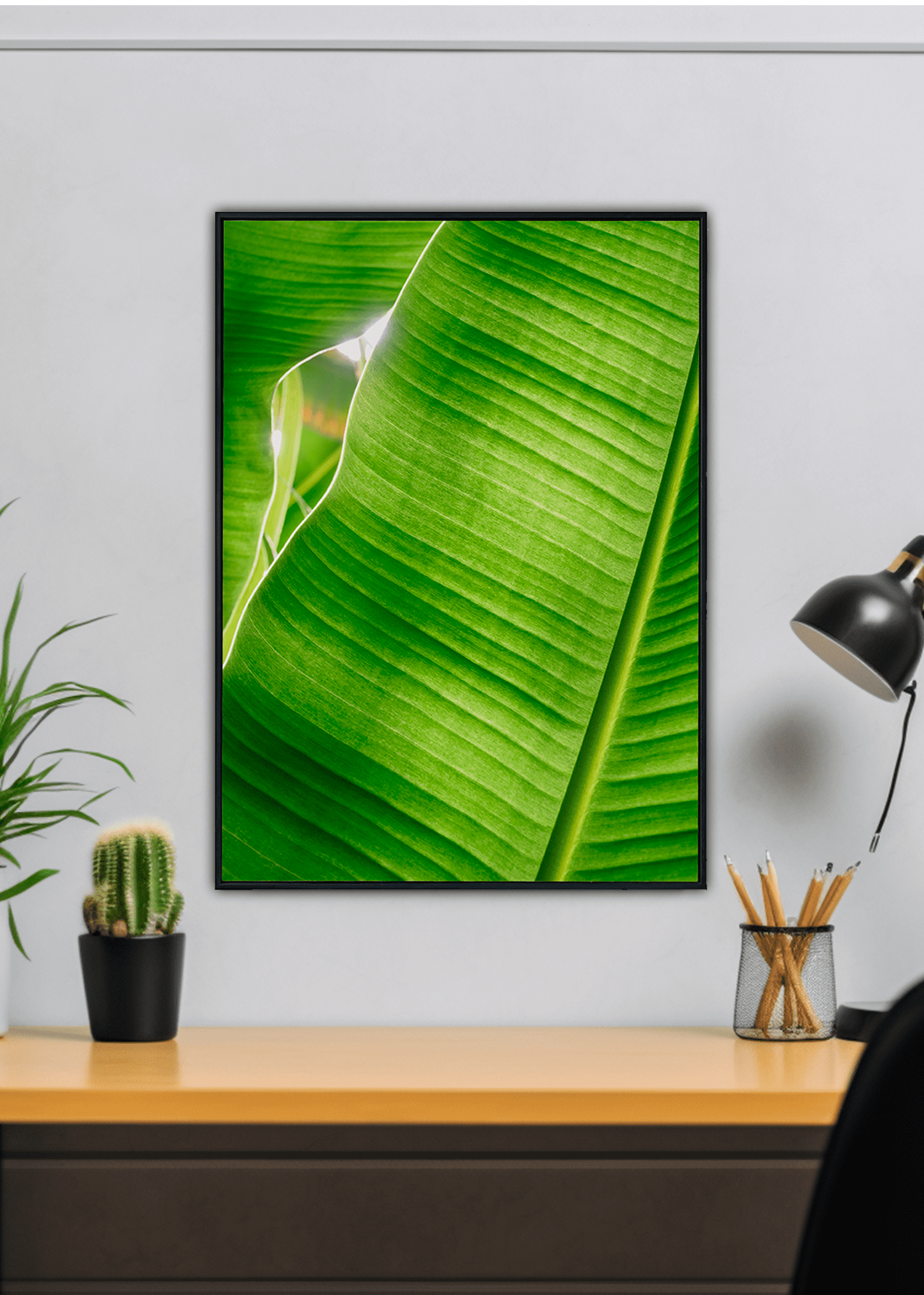 Quadro Banana Tree